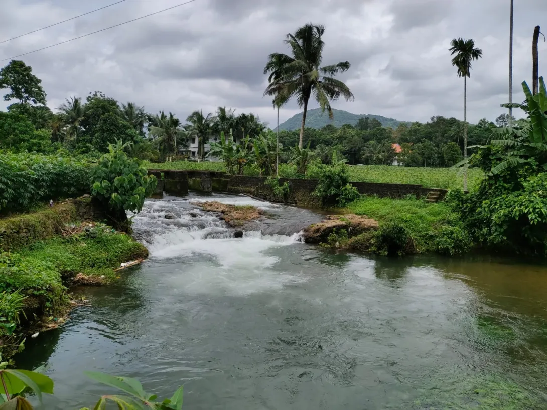 നായക്കനാംക്കുഴി
