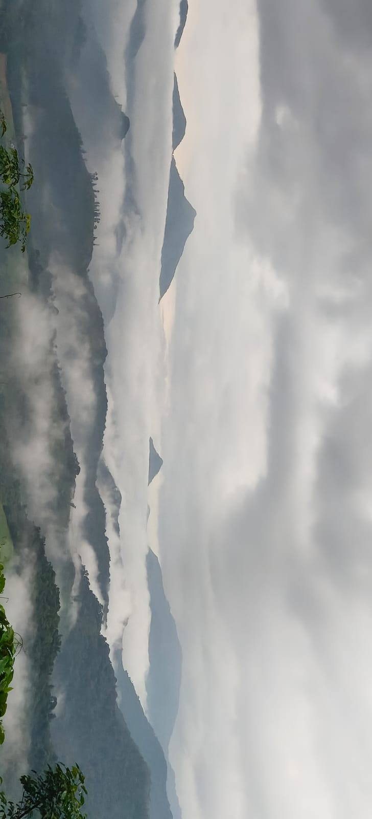 കൊടികുത്തി 