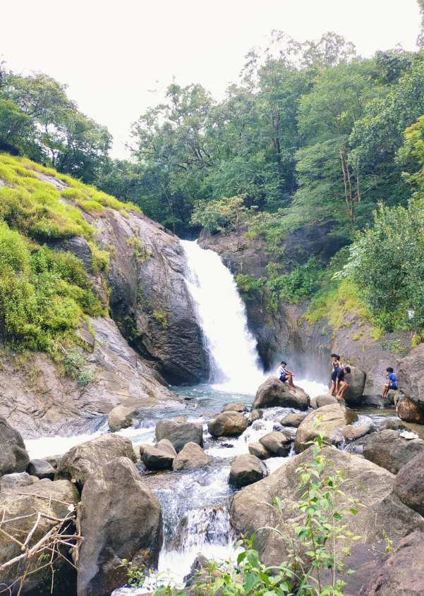 പെരുവന്താനം ഗ്രാമപഞ്ചായത്ത് ഏകയം ടൂറിസം