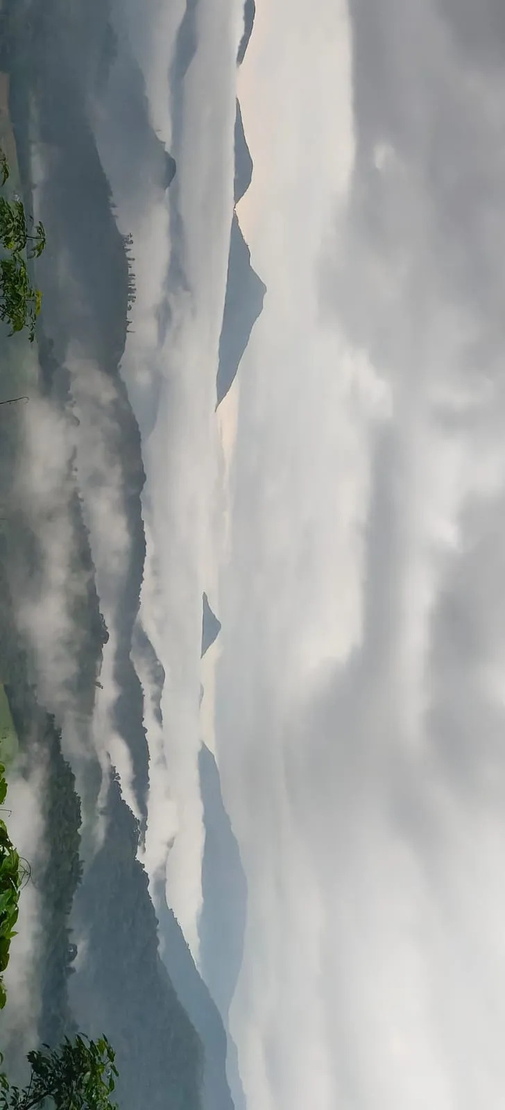 കൊടികുത്തി 