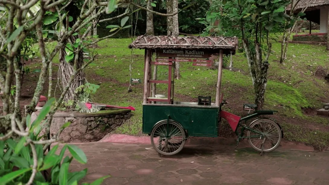 സീനറി