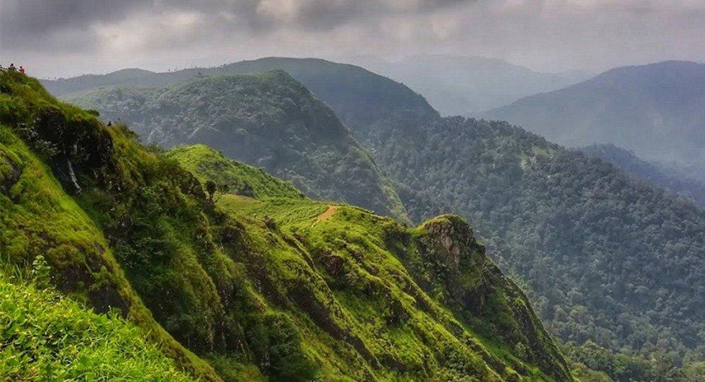 view point