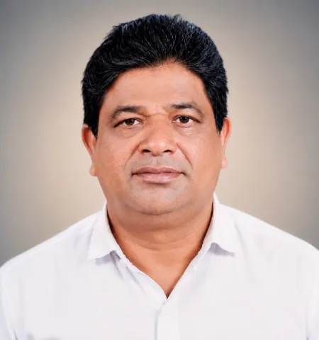 പോളി എൻ വി
