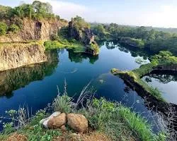 വയലുകൾ