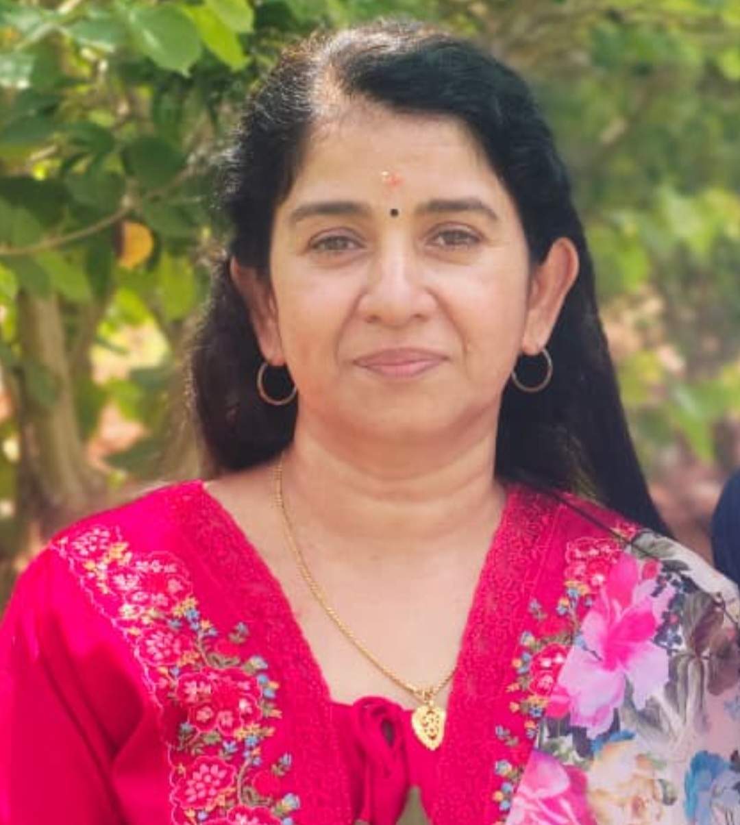 മിനി ഇ വി