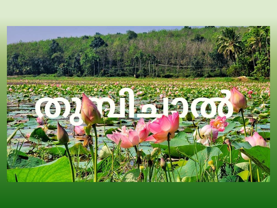 തുമ്പിച്ചാല്‍