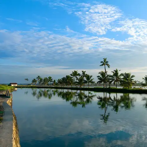 കടമക്കുടി