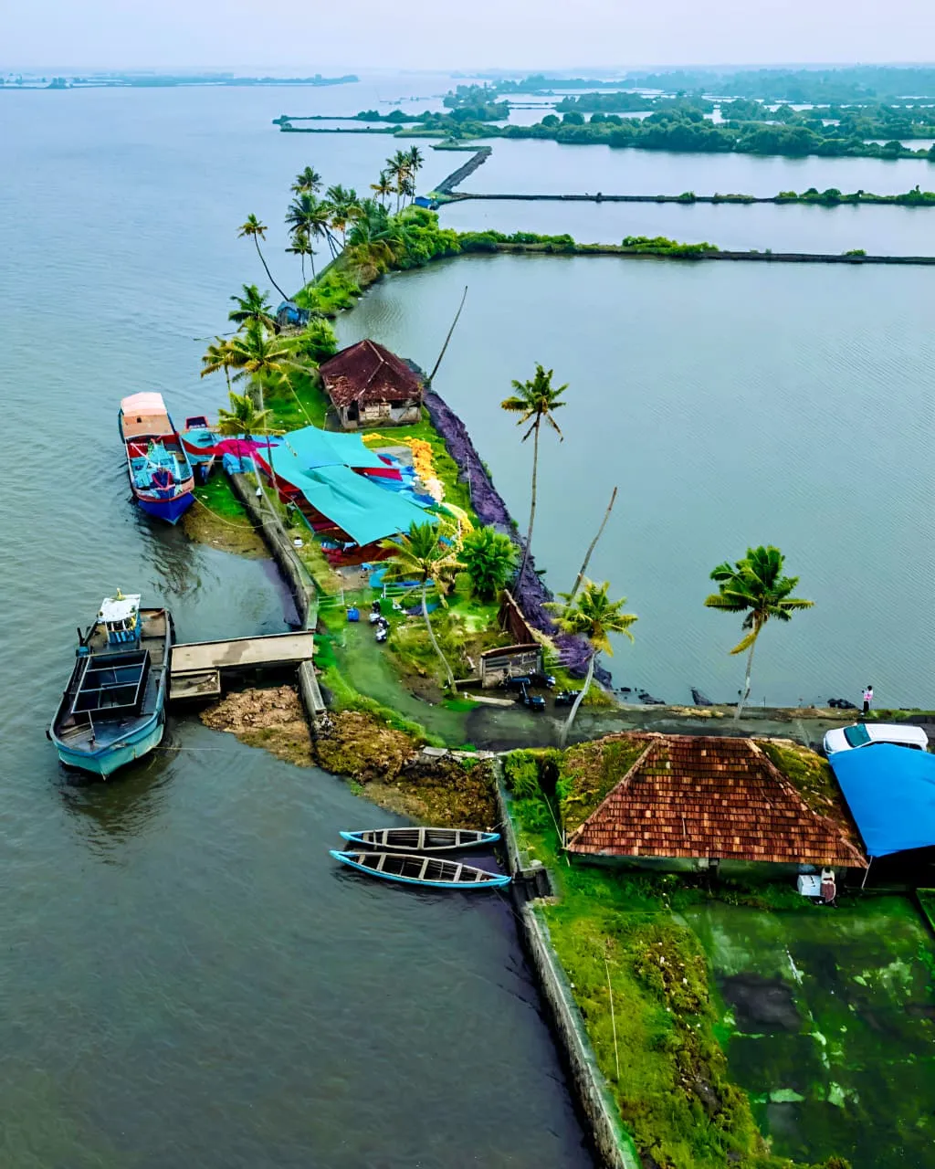 നെടുങ്ങാട്