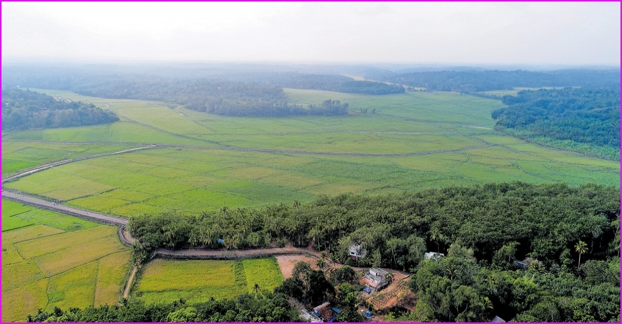 തോട്ടറ പുഞ്ച