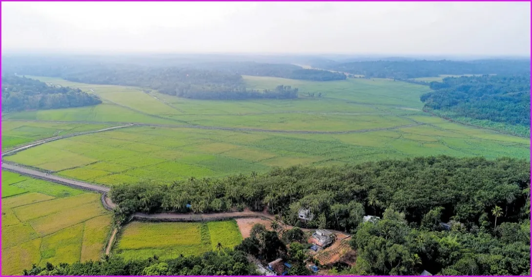 തോട്ടറ പുഞ്ച