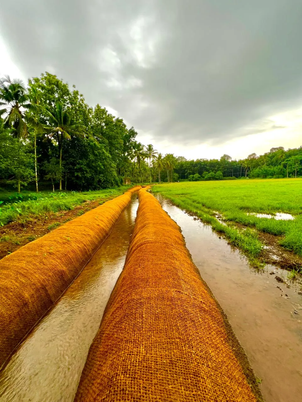 കയർ ഭൂവസ്ത്രം