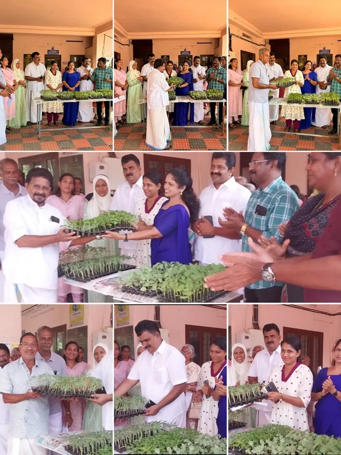 പച്ചക്കറി തൈകള്‍ വിതരണം 
