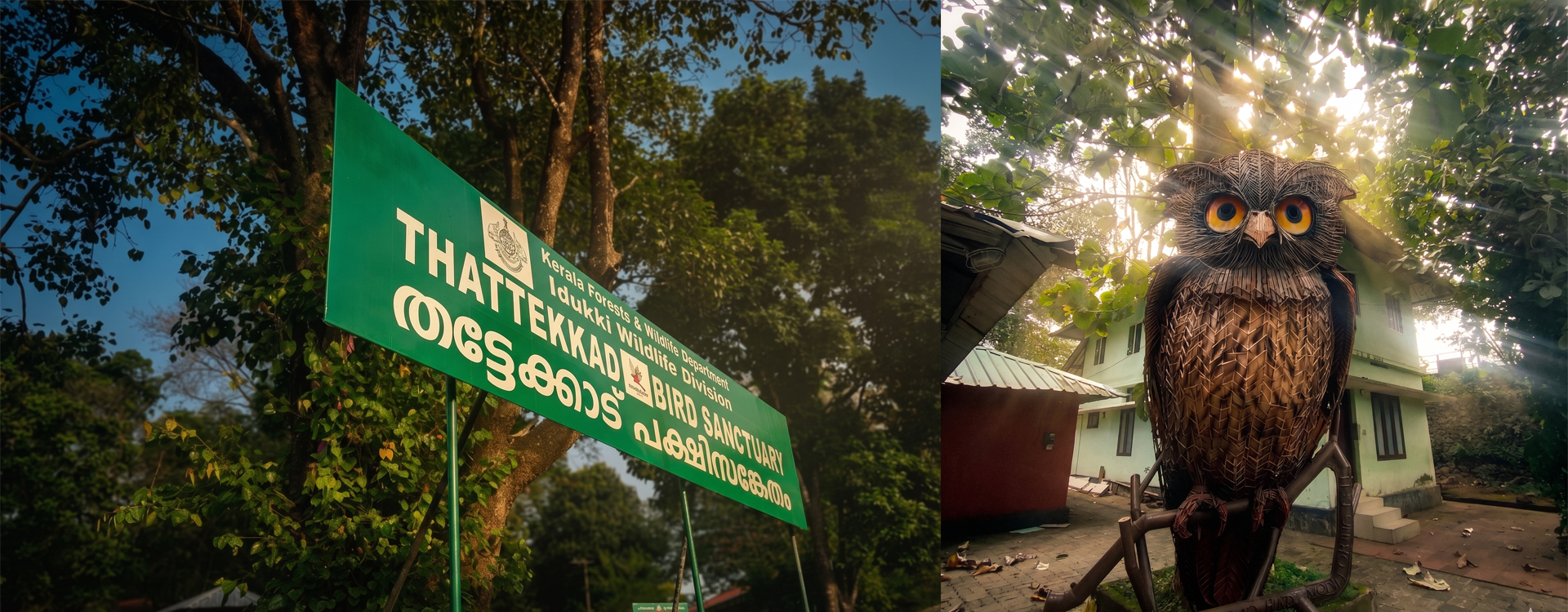തട്ടേക്കാട്‌