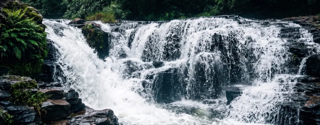 Waterfalls in Kuttampuzha