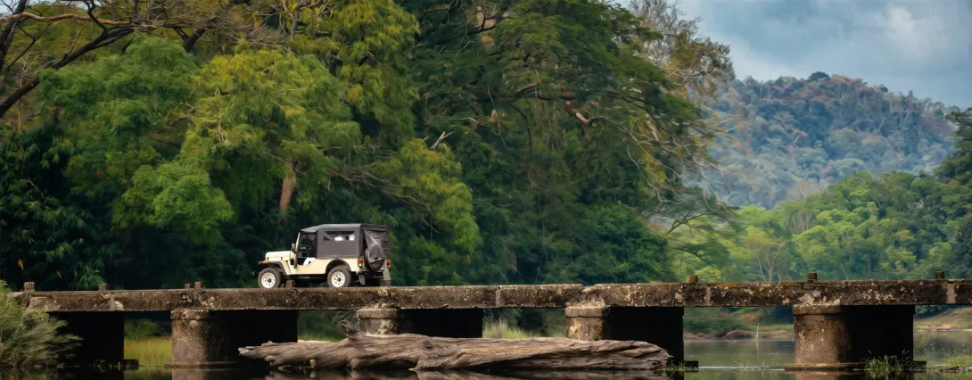 ആലുവ മൂന്നാര്‍ രാജപാത
