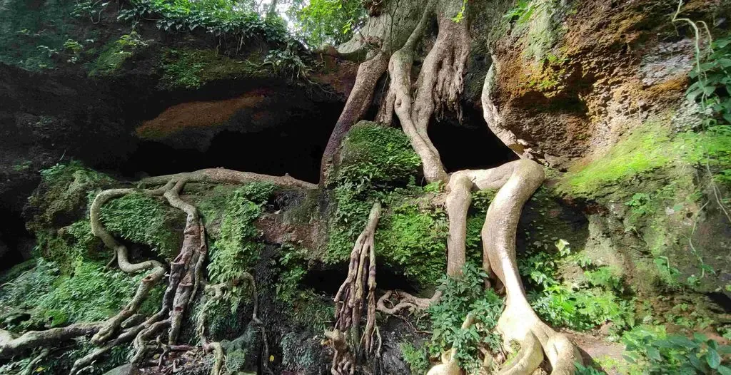 കൊച്ചരീയ്ക്കല്‍ ടൂറിസം