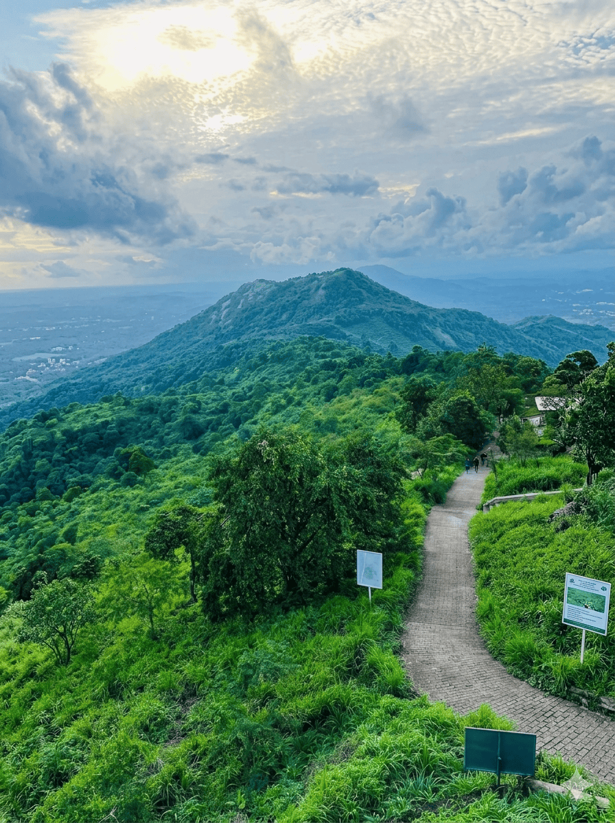 കൊടികുത്തിമല