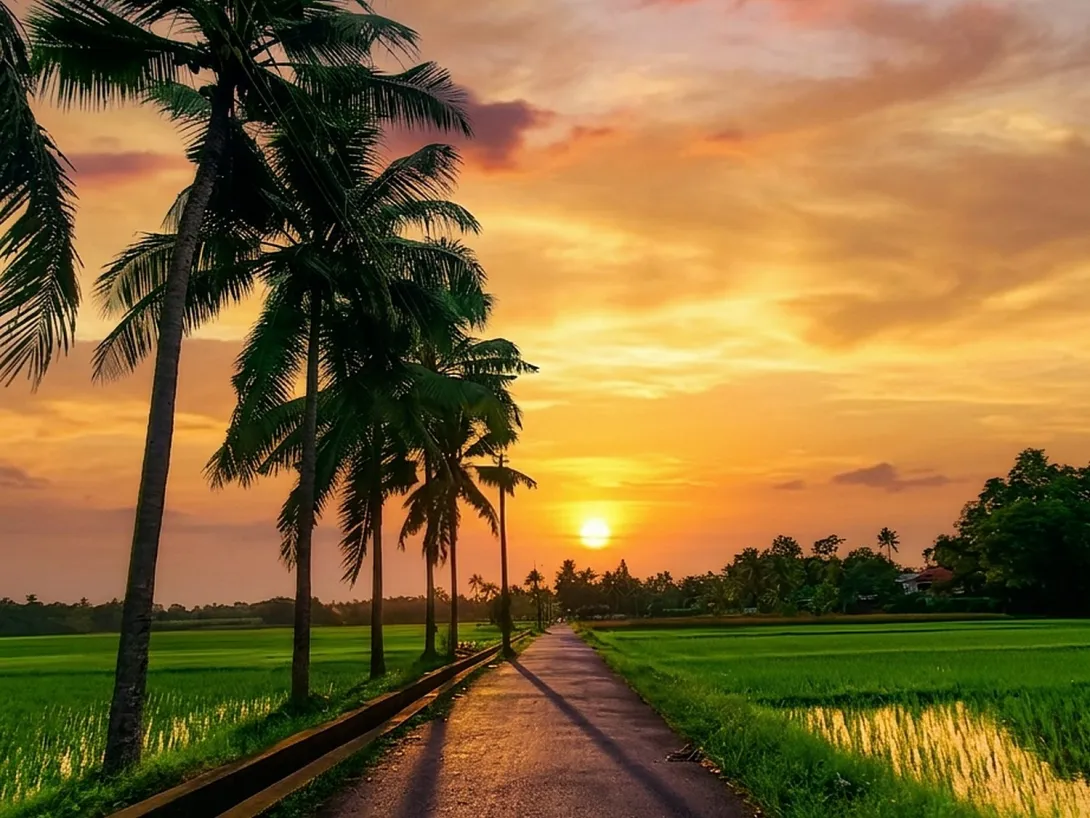 കപ്രശ്ശേരി പാടശേഖരം