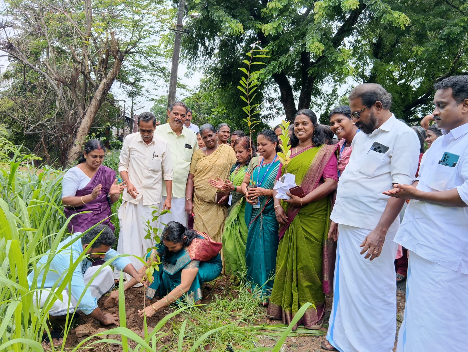 environment day