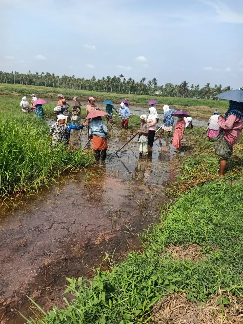 മഹാത്മ ഗാന്ധി ദേശീയ ഗ്രാമീണ തൊഴിലുറപ്പ് പദ്ധതി