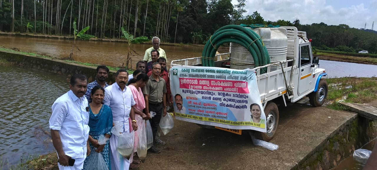 ഊത്തസംരക്ഷണം