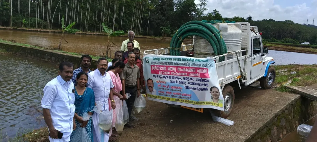 ഊത്തസംരക്ഷണം