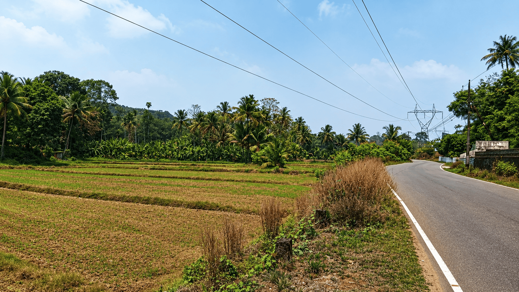 Nagapuzha Padam