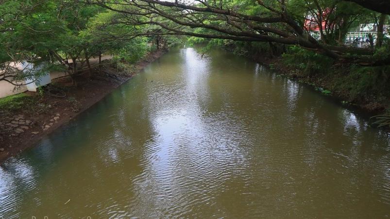 CANOLI CANAL