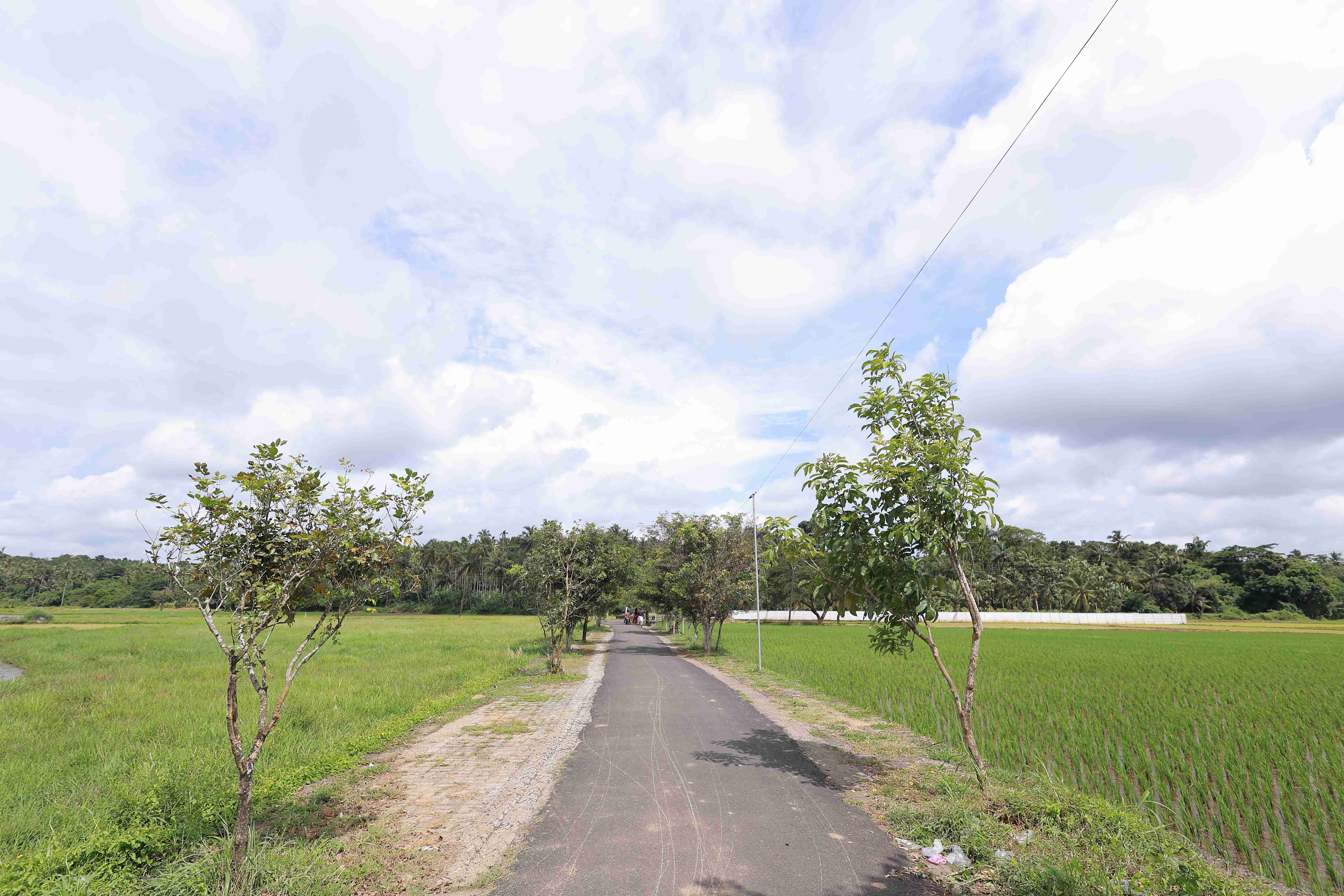 കുതിരവേലപാടം