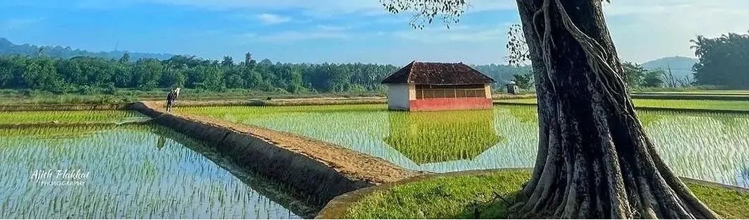 വാഴാലിക്കാവ്