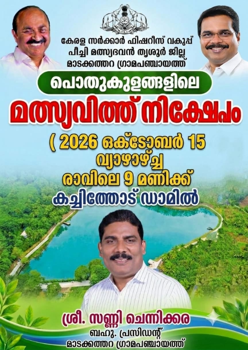 കച്ചിത്തോട്