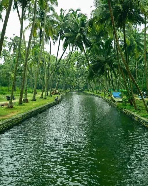 അറപ്പത്തോട്