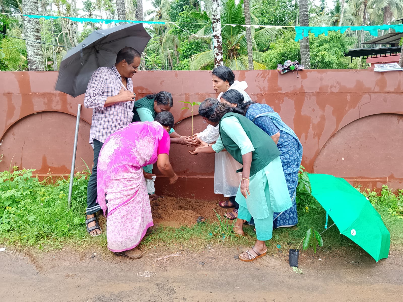 Environment Day Pledge