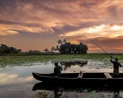 പുള്ള് 