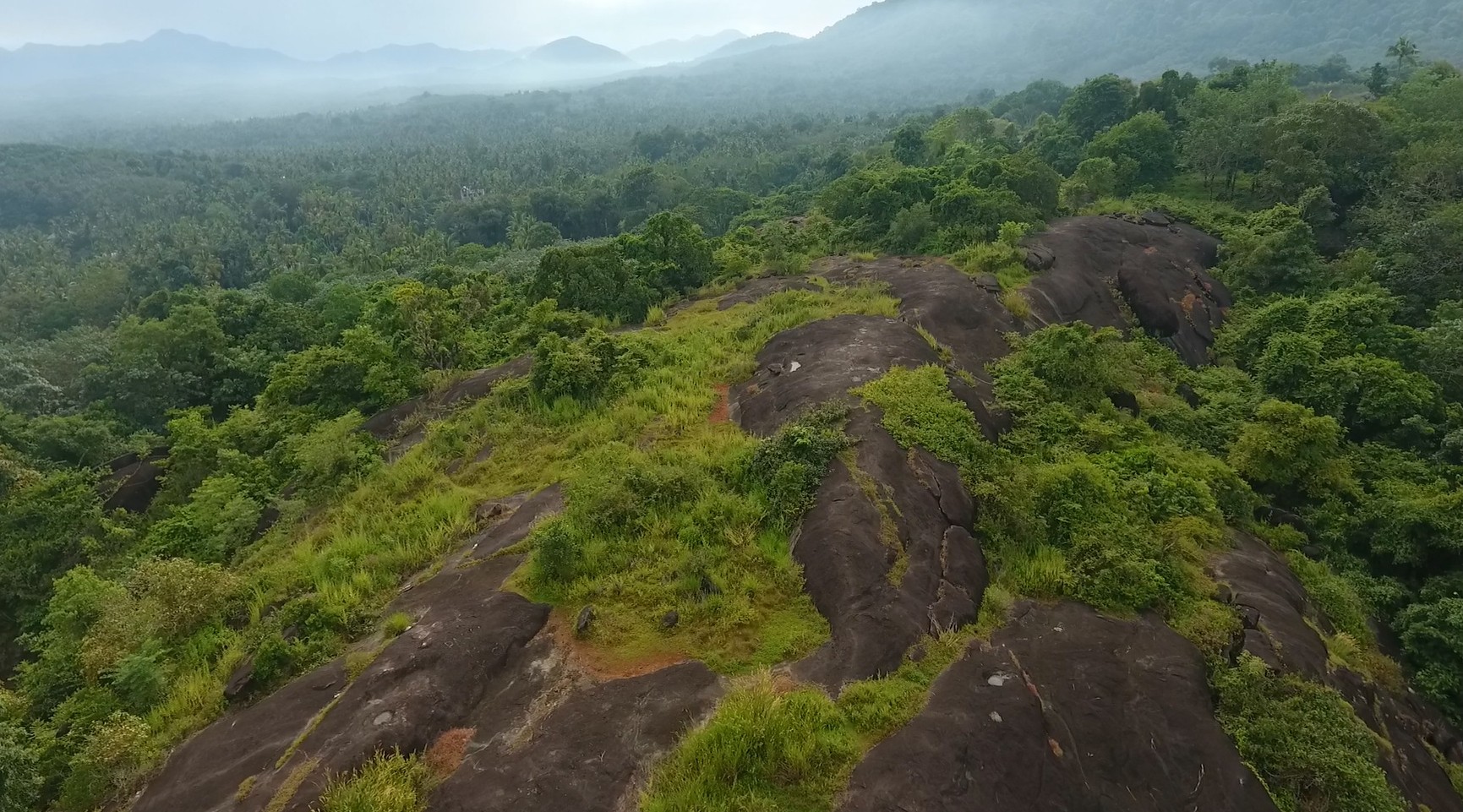 Kunjalippara