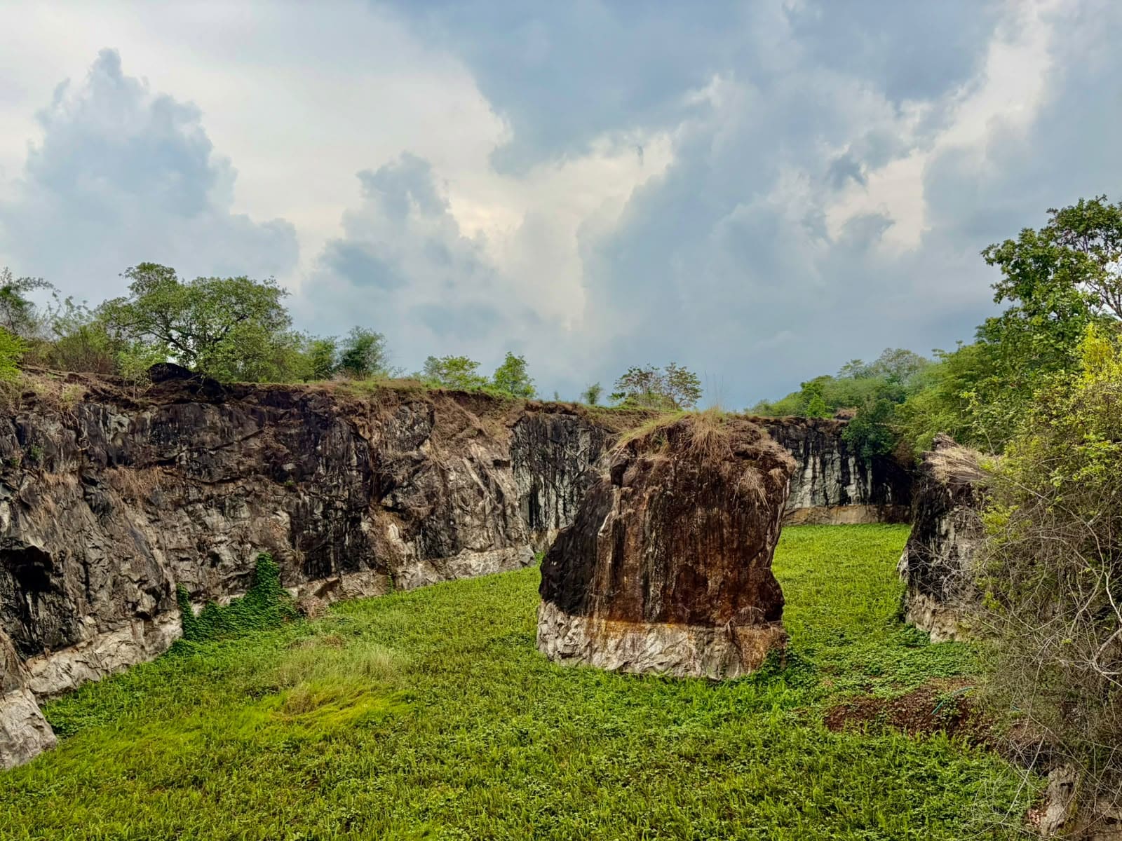 നെല്ലിമല