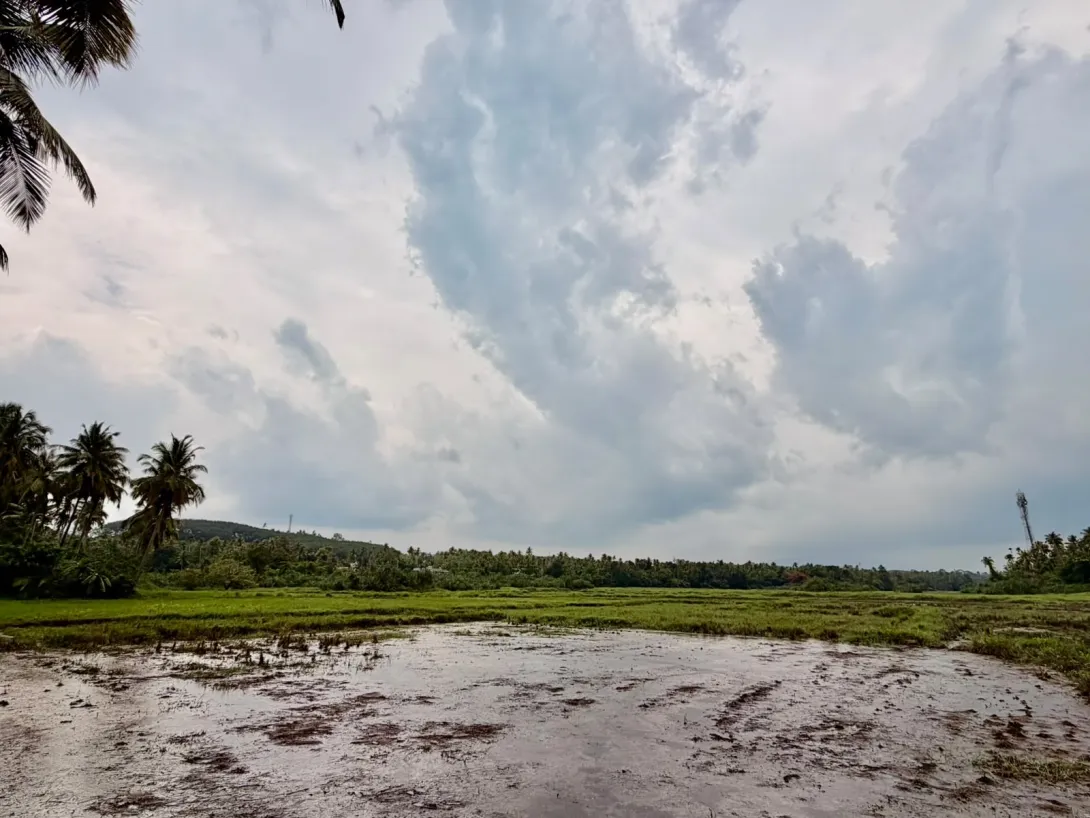 ആലഞ്ചേരിപ്പാടം