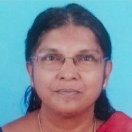 മിനി രാജൻ
