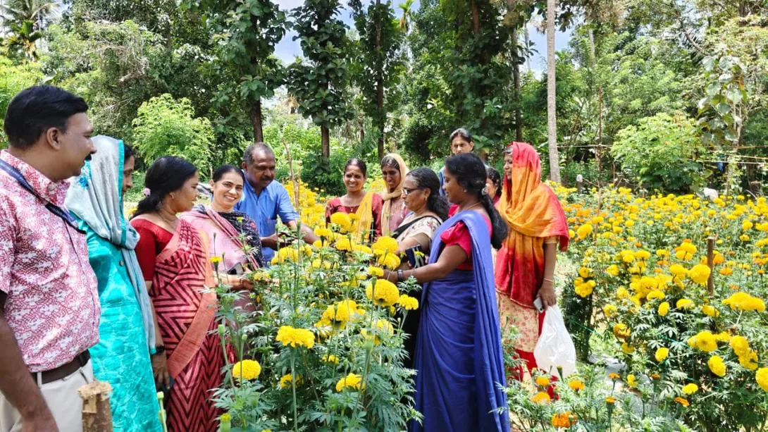 പൂക്കും പൂമംഗലം പദ്ധതി