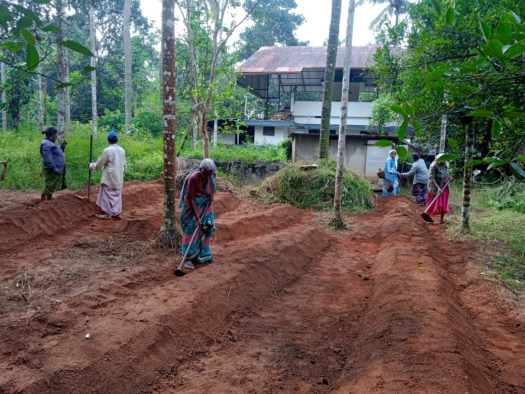 തൊഴിലുറപ്പ് 