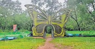 ചട്ടിക്കുളം നഗരവനം