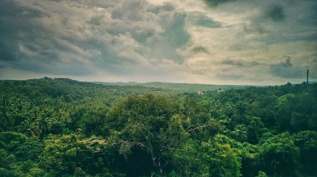 പറക്കുളം കുന്ന് വ്യൂപോയിന്‍റ്