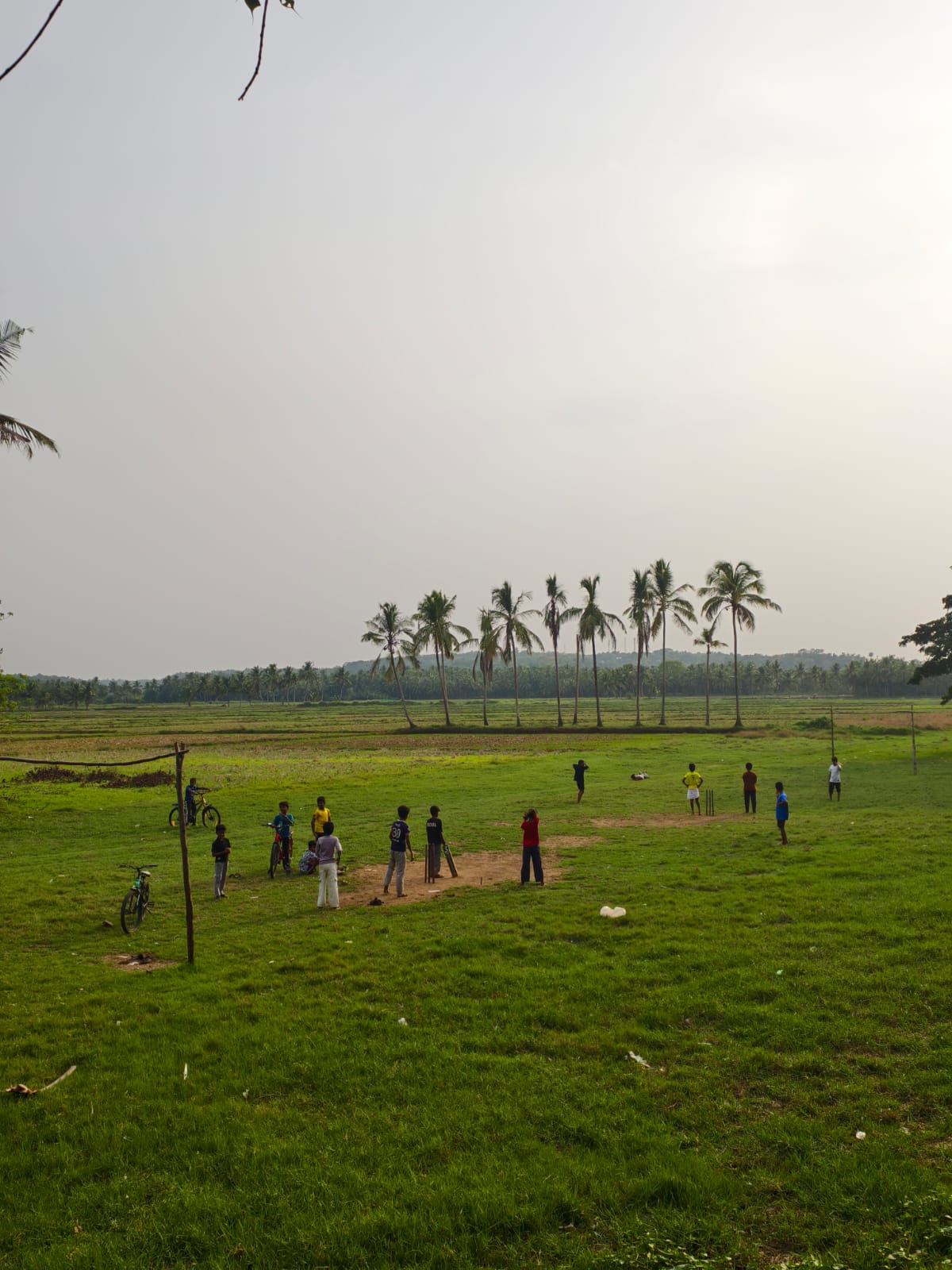 പ്രകൃതിയോട് കൂട്ടുകൂടി