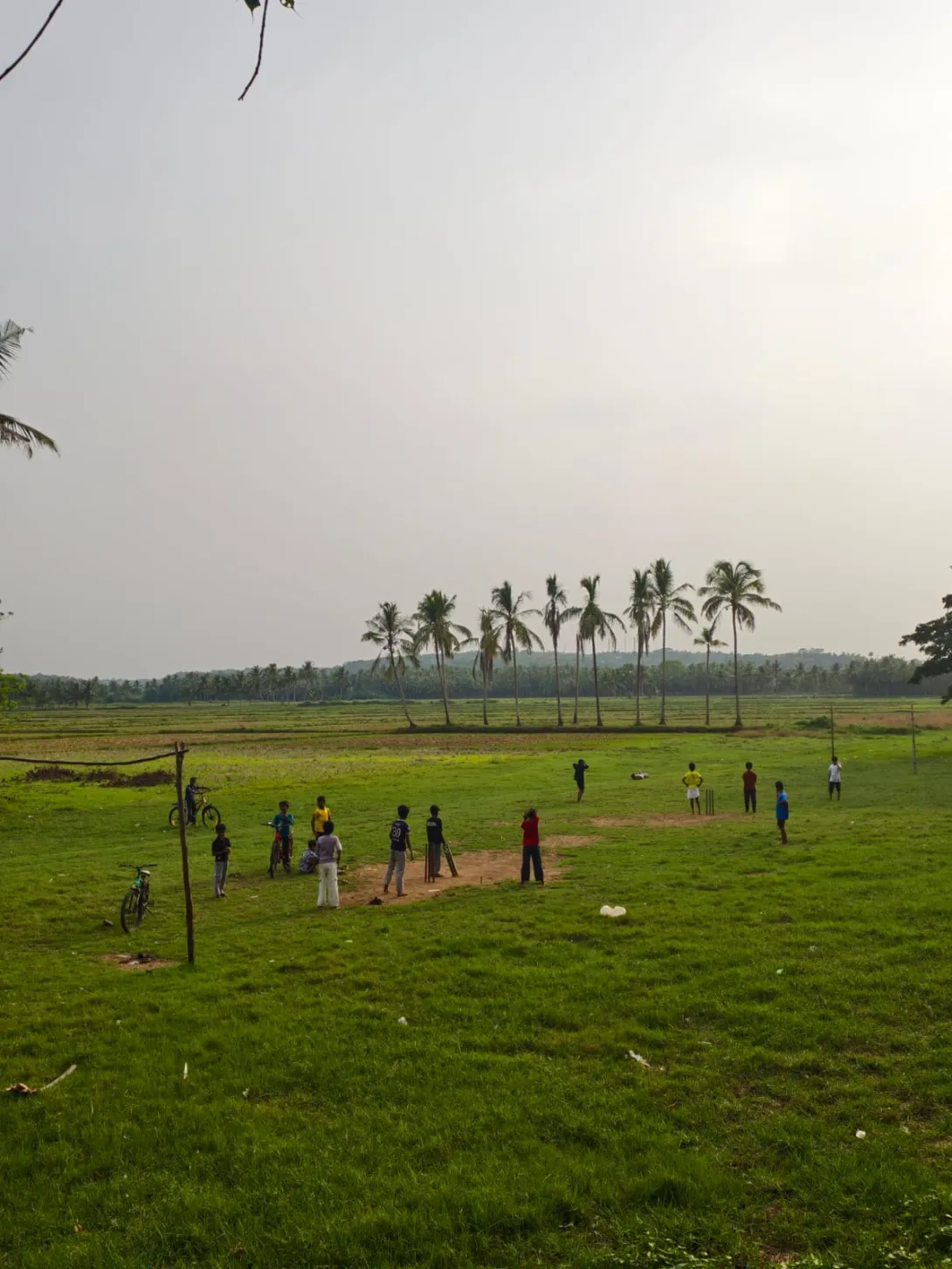 പ്രകൃതിയോട് കൂട്ടുകൂടി