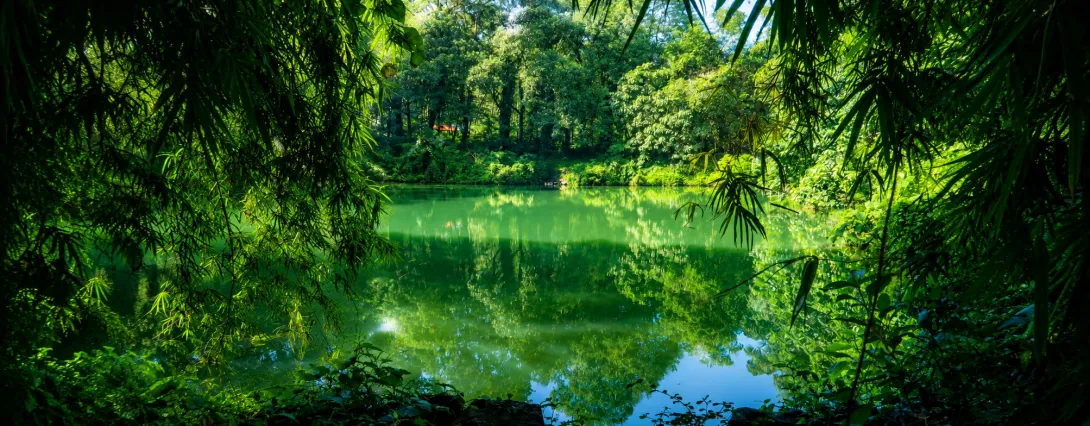 തളിമല കുളം
