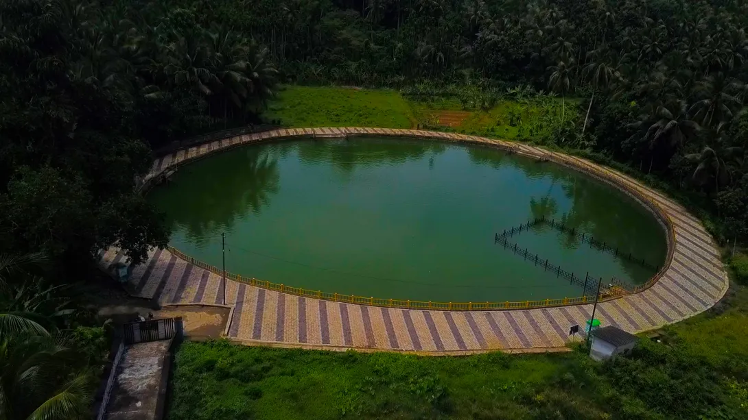 പ്ലാക്കാട്ട് കുളം