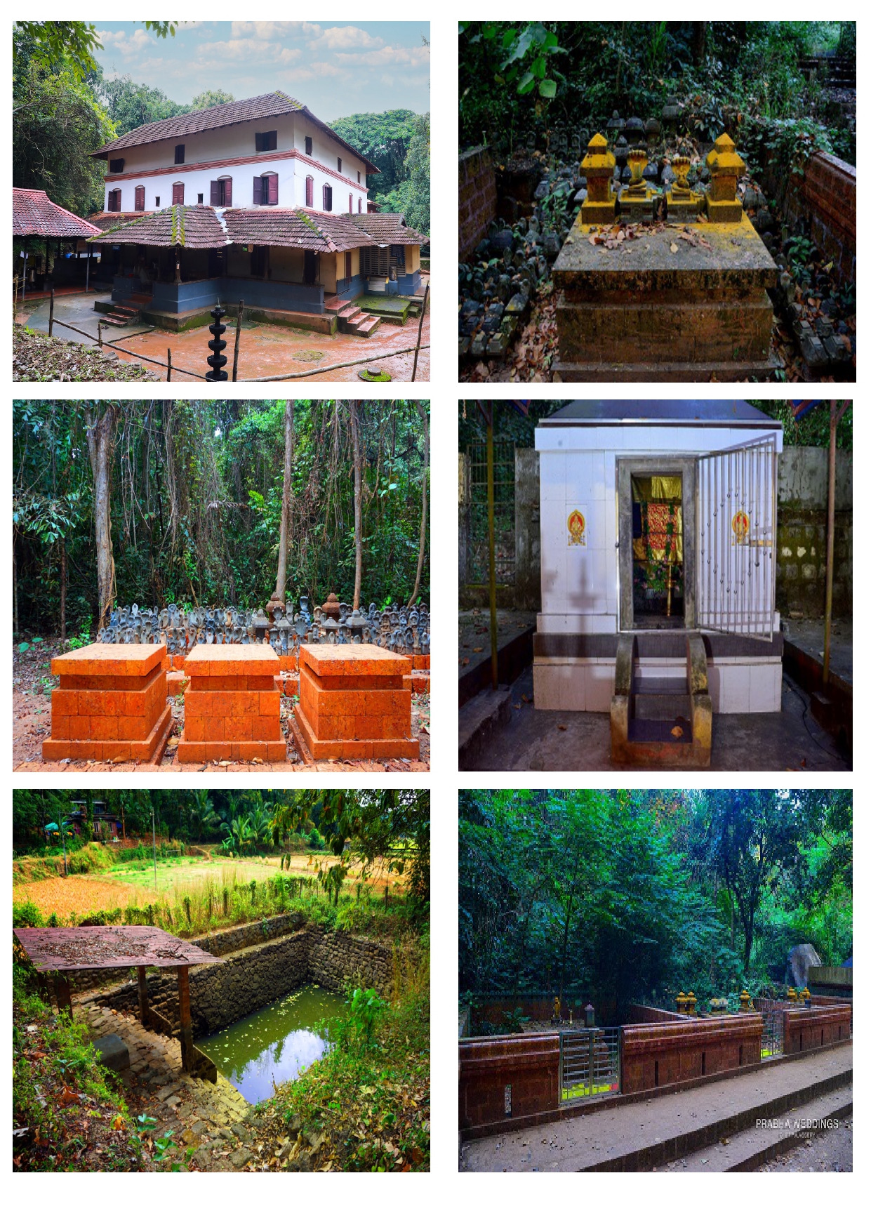 പാതിരിക്കുന്നത്ത് മന