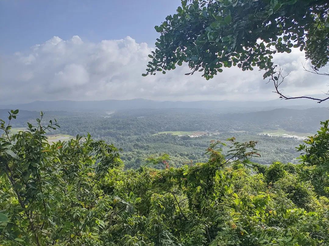 പൊൻമുഖം മല
