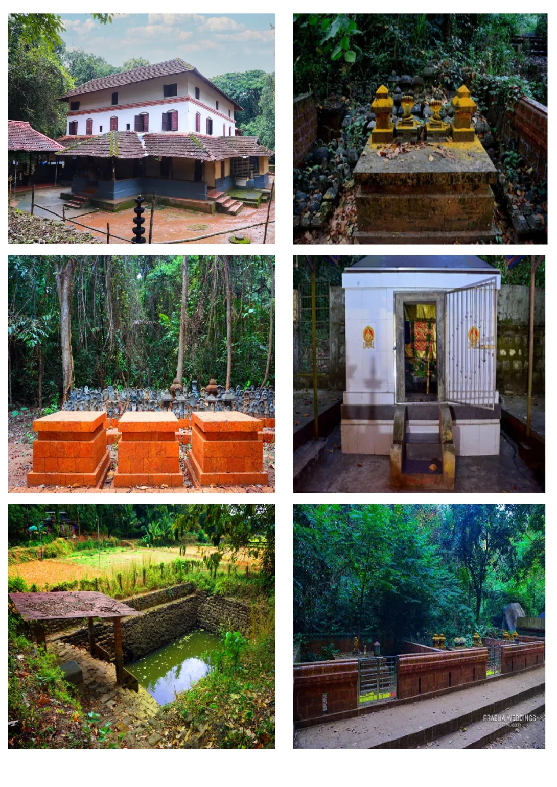പാതിരിക്കുന്നത്ത് മന