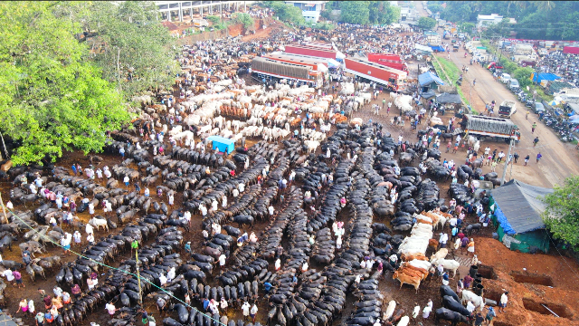 വാണിയംകുളം ചന്ത